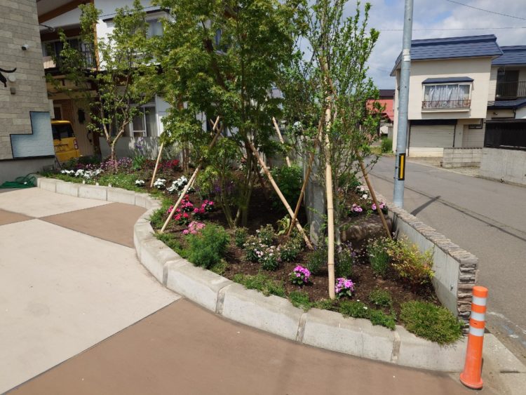 我が家の花壇の一部完成🌷🌼