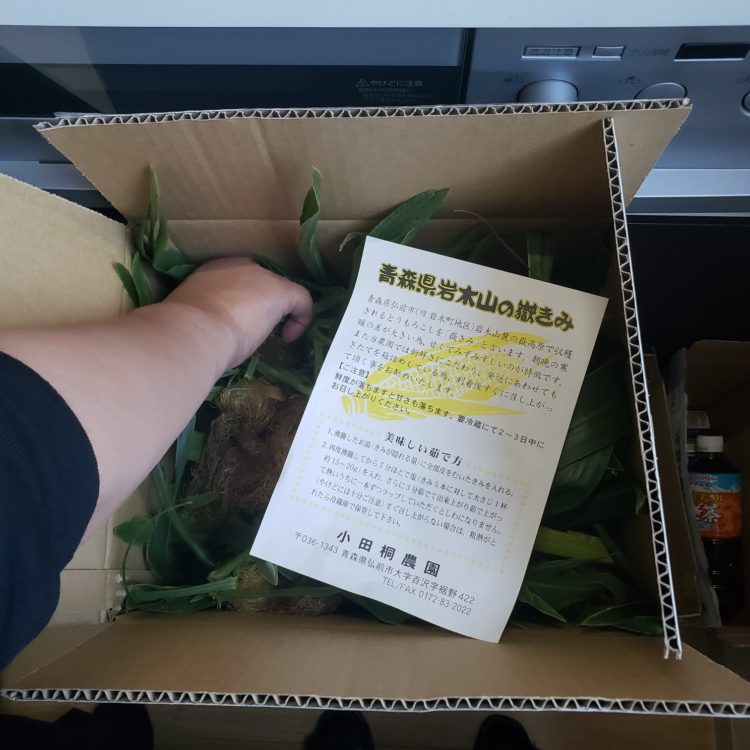 🌽嶽きみを食す🌽