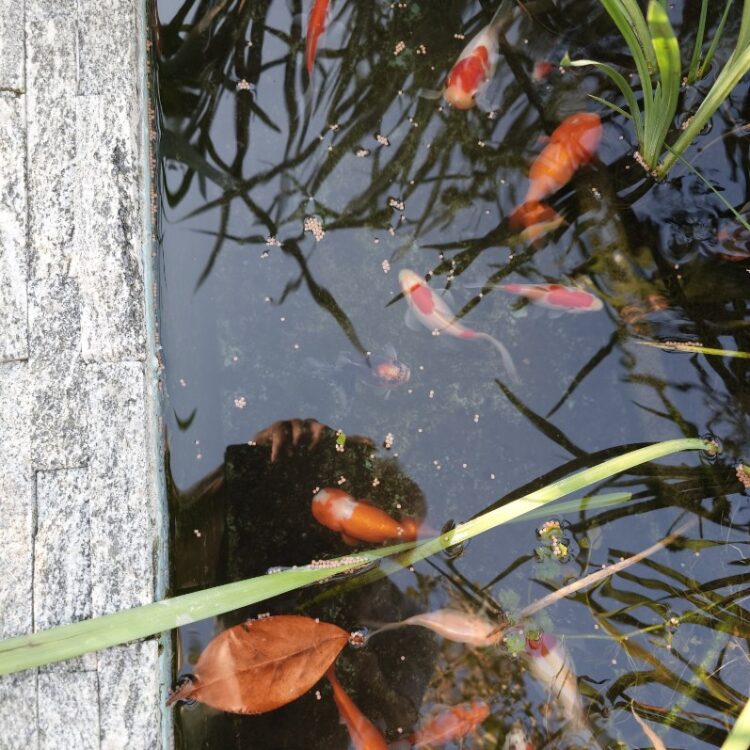 /