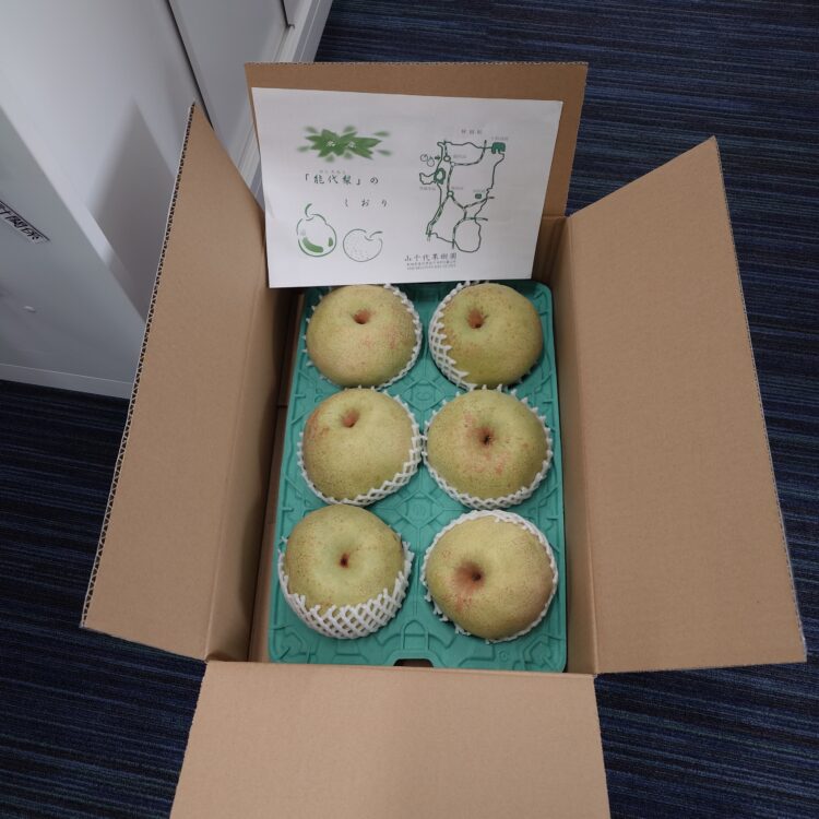 能代電設工業様から『梨』頂きました🍐