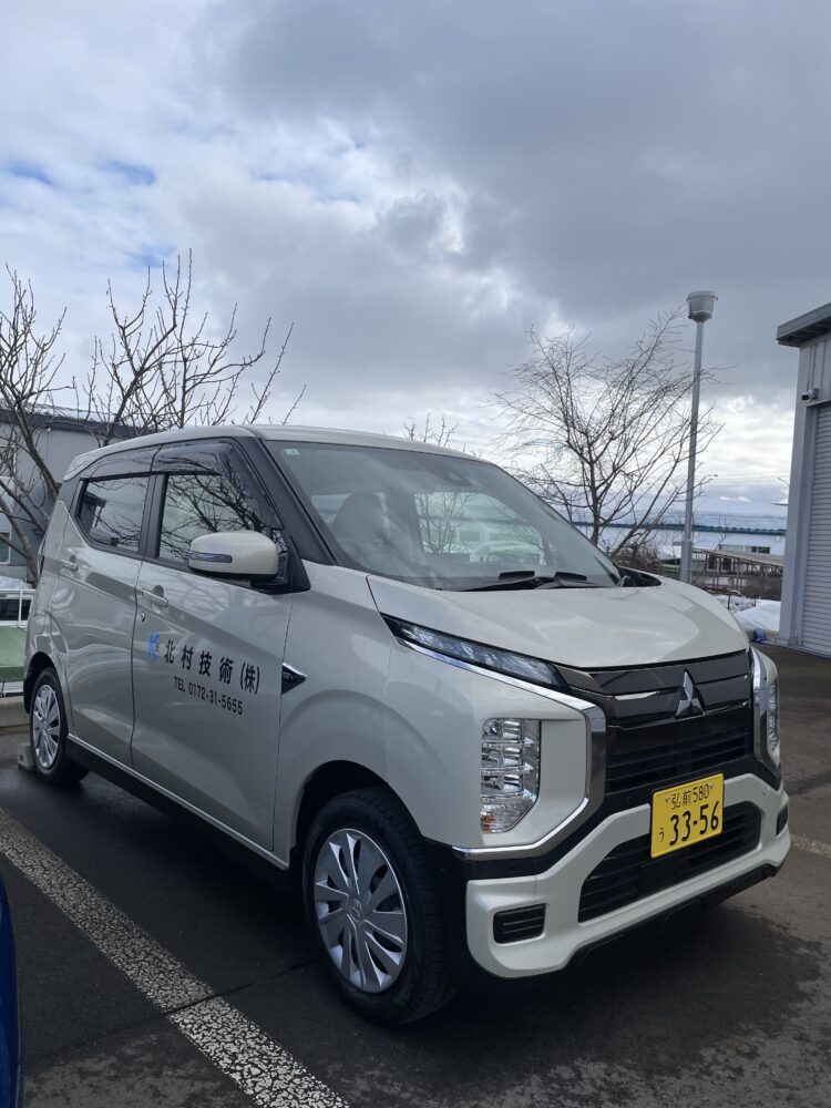 電気自動車を購入しました🚗