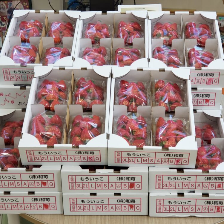 🍓社長からいちごのプレゼント🍓 