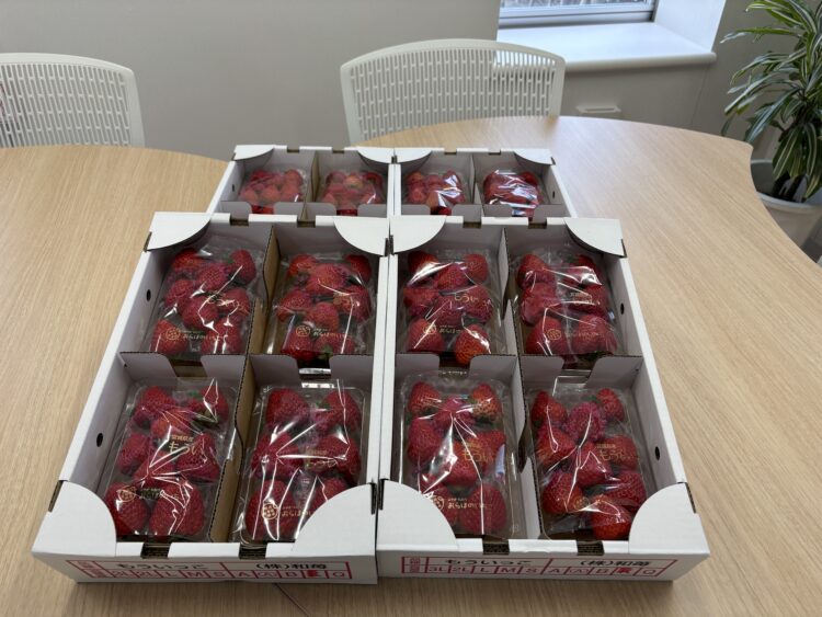 🚚いちごが届きました🍓