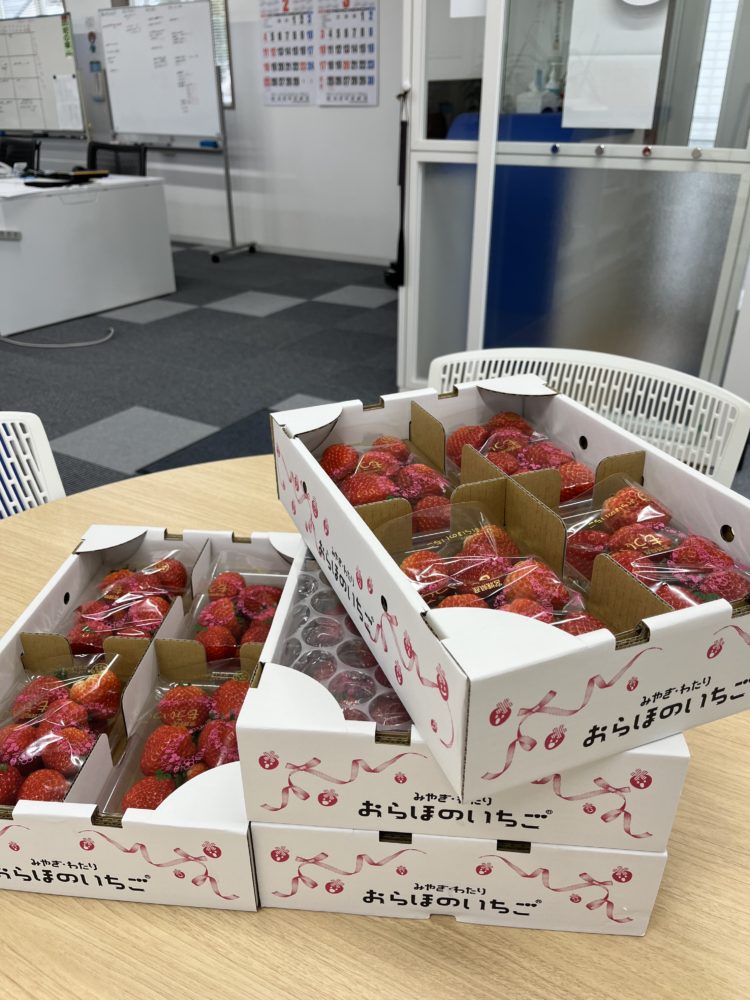 いちごをいただきました🍓