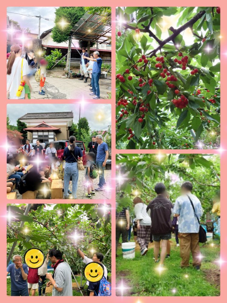 児童養護施設🍒弘前愛成園さんとさくらんぼ狩り🍒