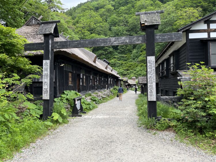 PADM🍀遠位型ミオパチー患者会🐞