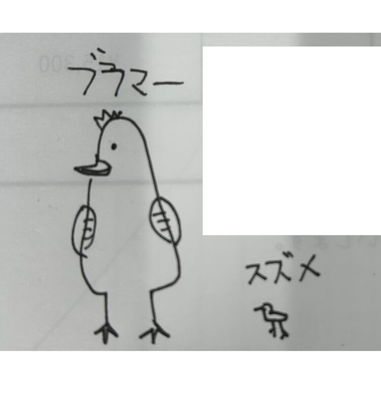 /
