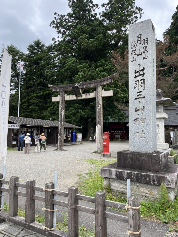 国境なき医師団🚑