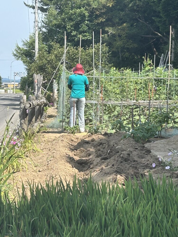 奥さん？