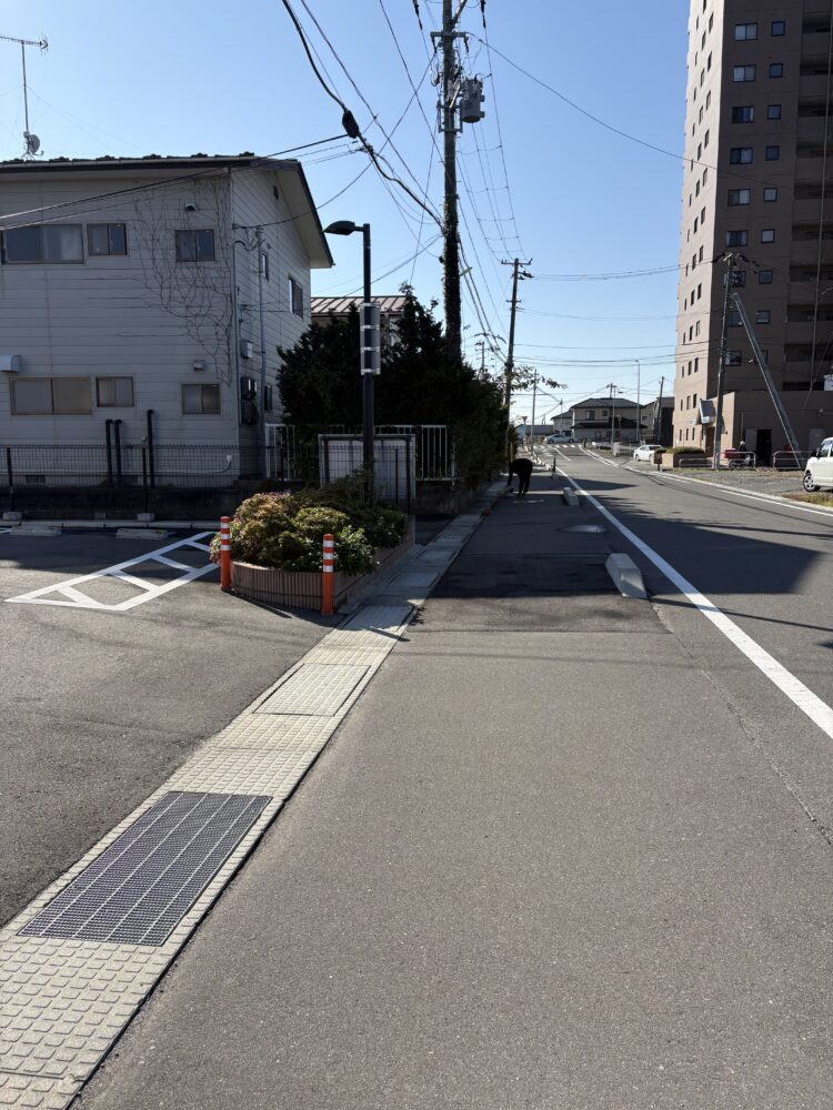 宮城だより🍂