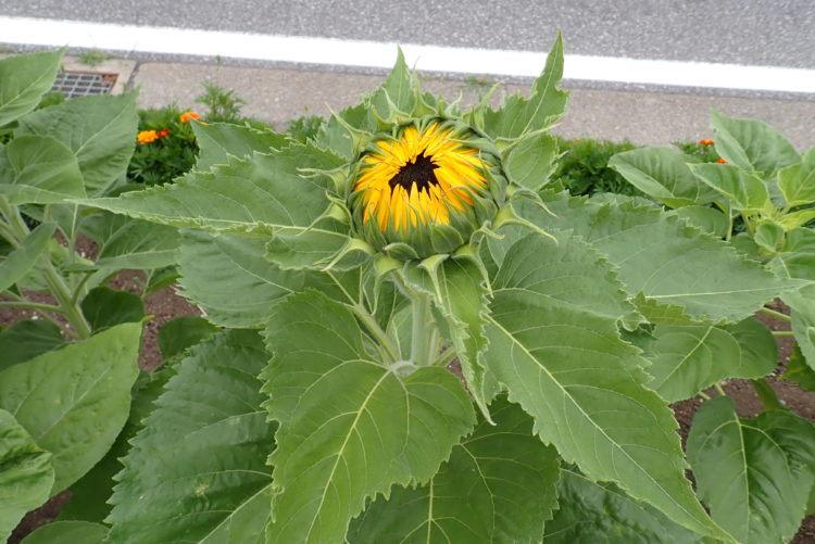 ドライブしてきました🚗