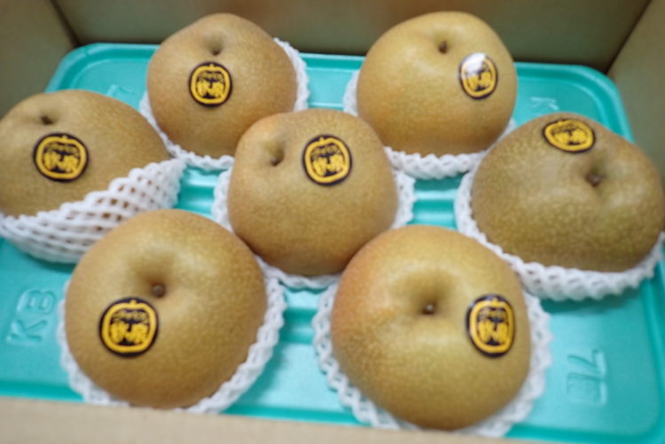 梨をいただきました🍐
