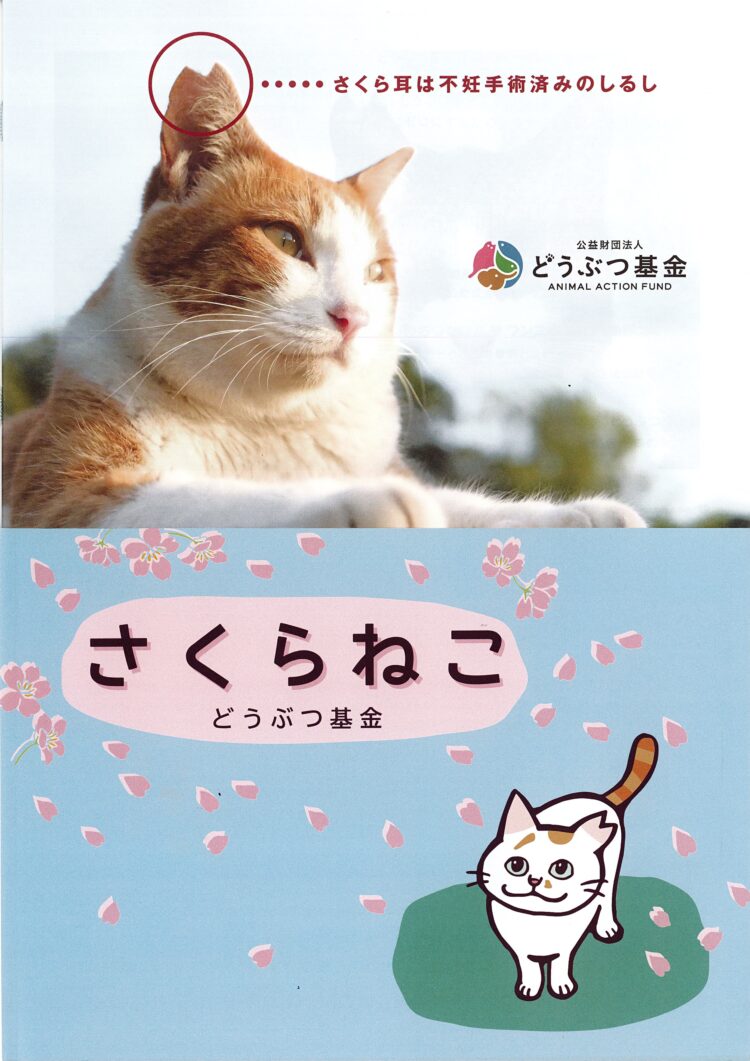 /