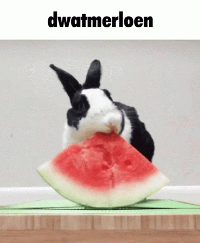/