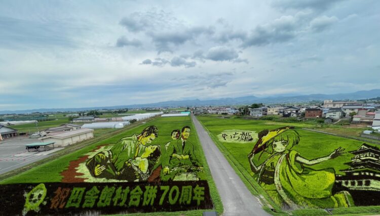 田舎館村田んぼアートを見てきました👀