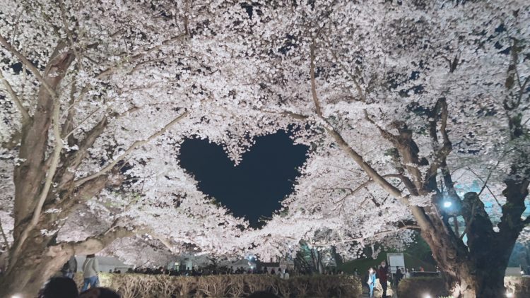 弘前さくらまつり🌸