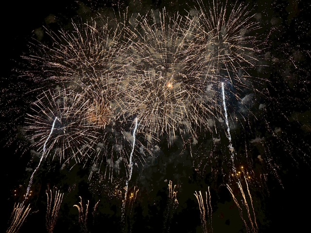 古都ひろさき花火の集い🎇