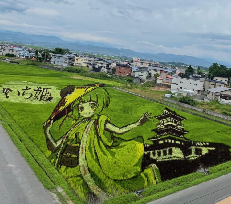 /
