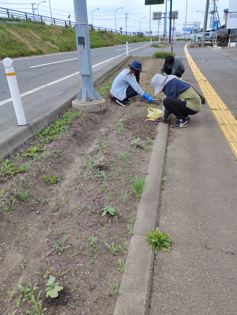 草取りはじまりました