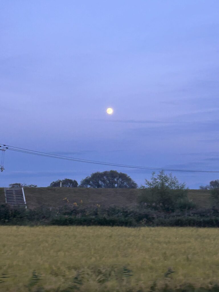 中秋の名月🌕