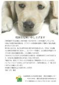 公益財団法人日本盲導犬協会へ継続支援